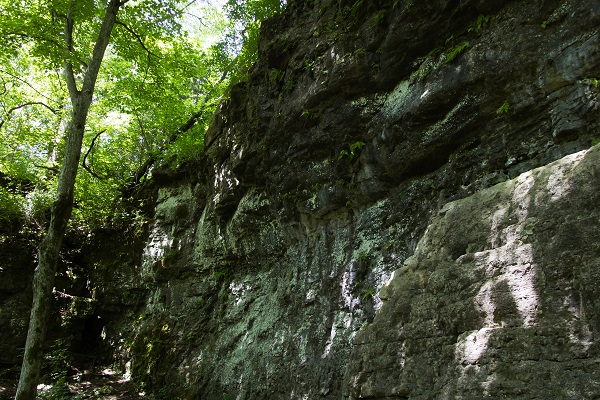 Cliffs